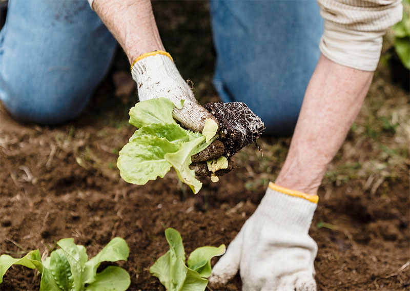 Připravte své klouby pro práci na zahrádce