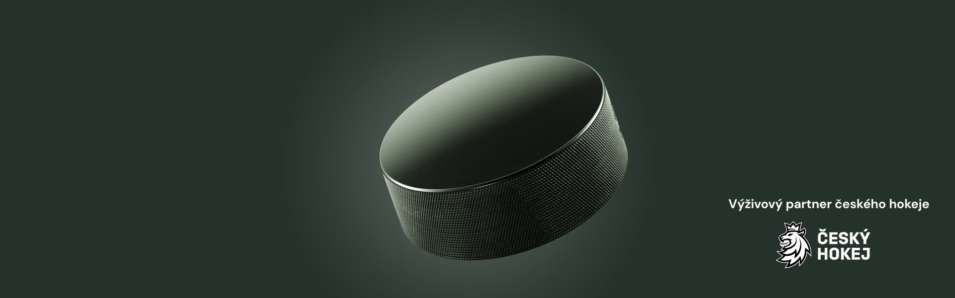 soutěž hokej