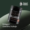 kolagen 500 1