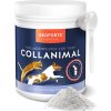 Beoforte Collagen Dose 500g 03 Front Loeffel Pulver