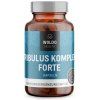 Tribulus komplex forte 90 kapslí