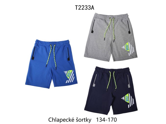 T2233A