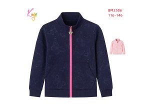 BM2506 116 146 24KS