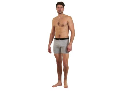 Pánské boxerky CALVI 25-261 - šedá
