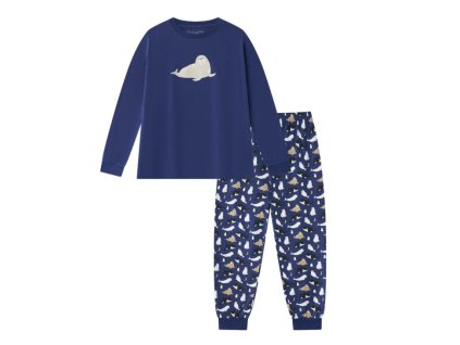 chlapecké pyžamo S2555 2