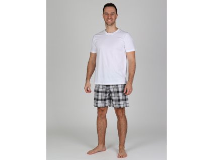 Pánské bavlněné tričko DANIO