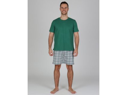 Pánské bavlněné tričko TANOV