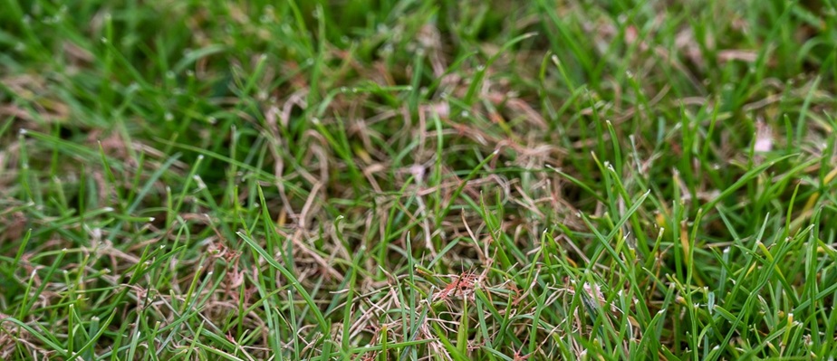 erfl-20240815-131049