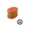 790166 Vzduchový filtr Briggs Stratton