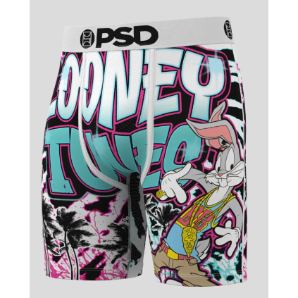 psd looney tunes west coast 1
