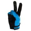 Carbon Eternal ElectricBlue Glove3