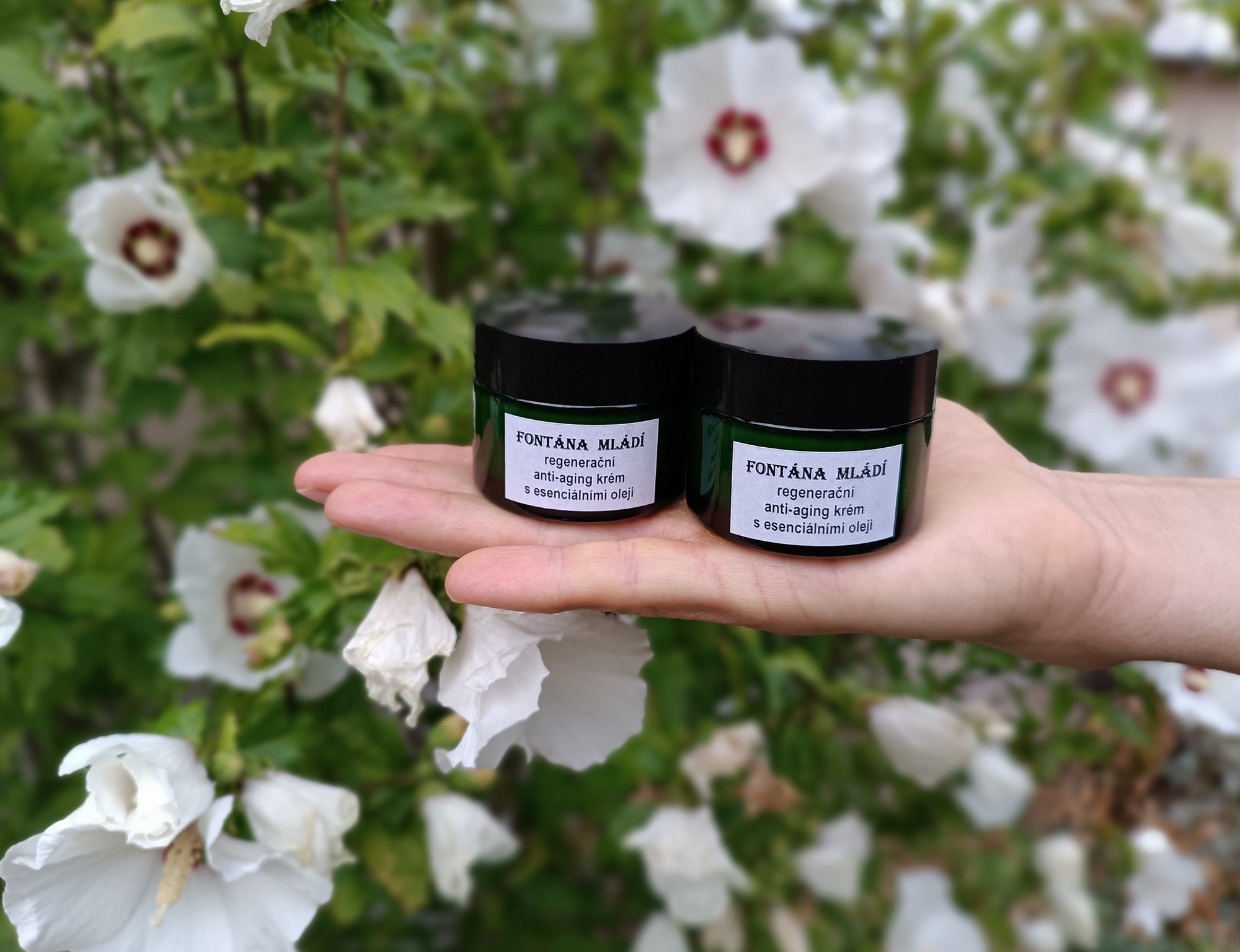 Regenerační anti-aging krém Fontána mládí