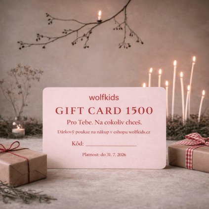 ChatGPT Image 22. 12. 2025 12 01 52 (kopie)