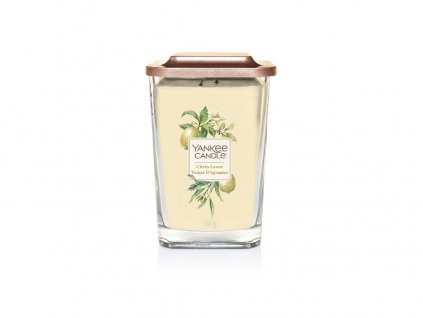 1329 yankee candle elevation svicka citrus grove 0 553