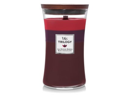 WoodWick Trilogy Sun Ripened Berries svíčka váza velká 609 g