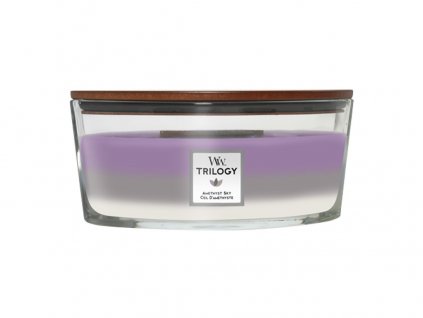 WoodWick Trilogy Amethyst Sky svíčka loď 453,6 g