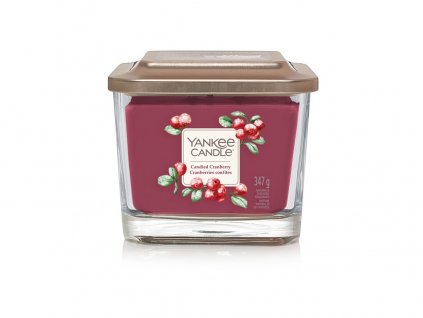 Yankee Candle Elevation svíčka Artic Frost (Velikost 347 g)