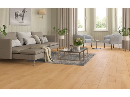 Classen Ceramin 64632 Pro Nature Wag interier