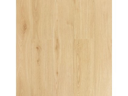 dab zuna 6849e2e39479b4 16817630.jpg