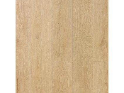 dab caspiana 6849e5d9e24d89 19996291.jpg