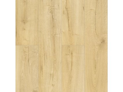 weninger smart xl caracas 677d255a011f43 87326503.jpg