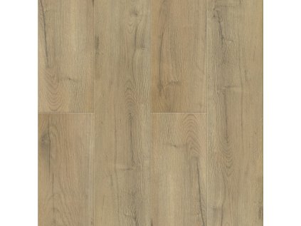 weninger smart kanada 677d251e09c6b6 11609098.jpg