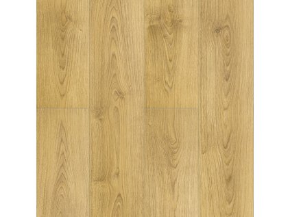 weninger smart rubio 677d250d484233 58939647.jpg