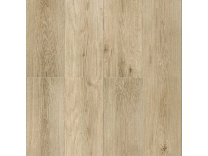 weninger smart lyon 677d24cacce264 69428650.jpg