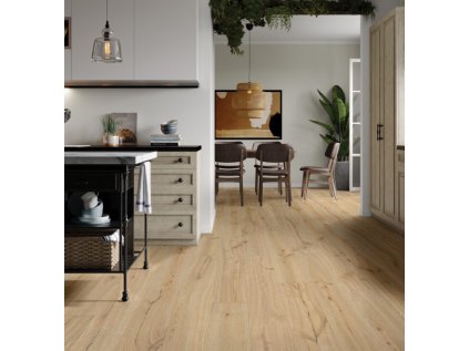 dab piaskowy 1 702x725