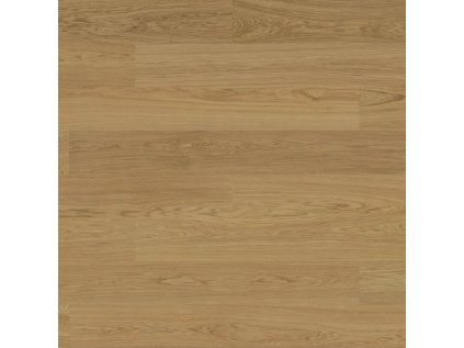 ed570abdcdbd90ceaad9fad898b8e9c3 900x900 90 1679980311 thumbnail 71f262d796bed1ab30e8a2d5a8ddee6f