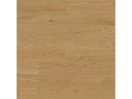 efe29234f92466f69d87f4a607a6ba84 900x900 90 1679981334 thumbnail 71f262d796bed1ab30e8a2d5a8ddee6f