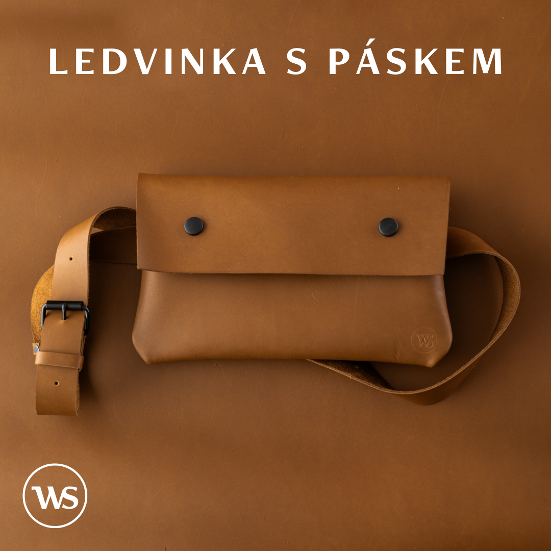 Ledvinka Hnědá Varianta: Ledvinka s páskem