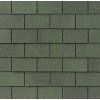 asfaltovy sindel Armourglass Plus amazon green