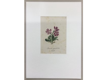 E73C09E0 79D3 43F3 A86D 6FBA233CCDC2