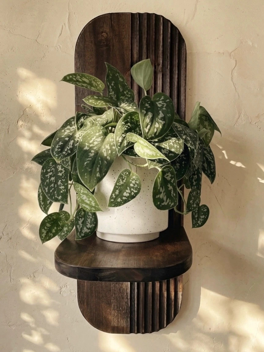 How to Water Houseplants Properly (and Avoid Overwatering Them)