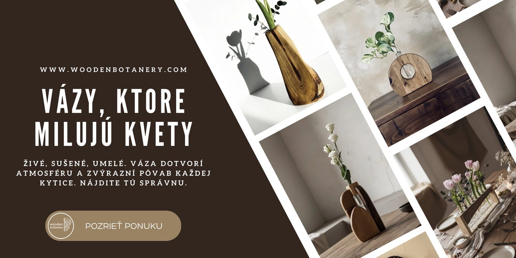 Vázy
