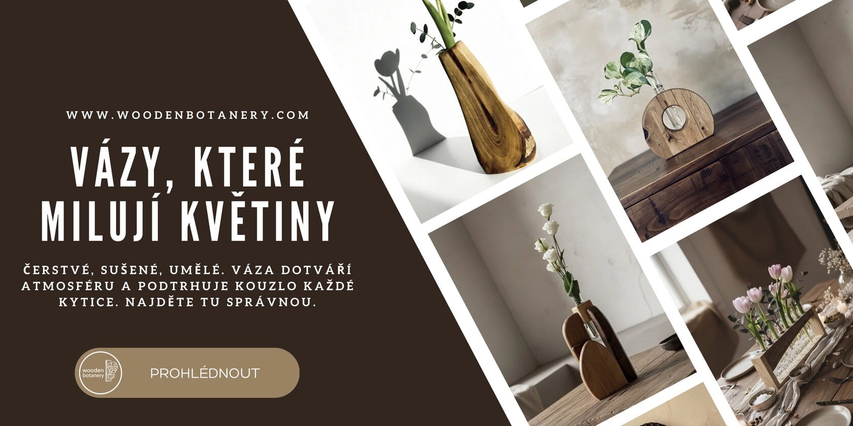 Vázy