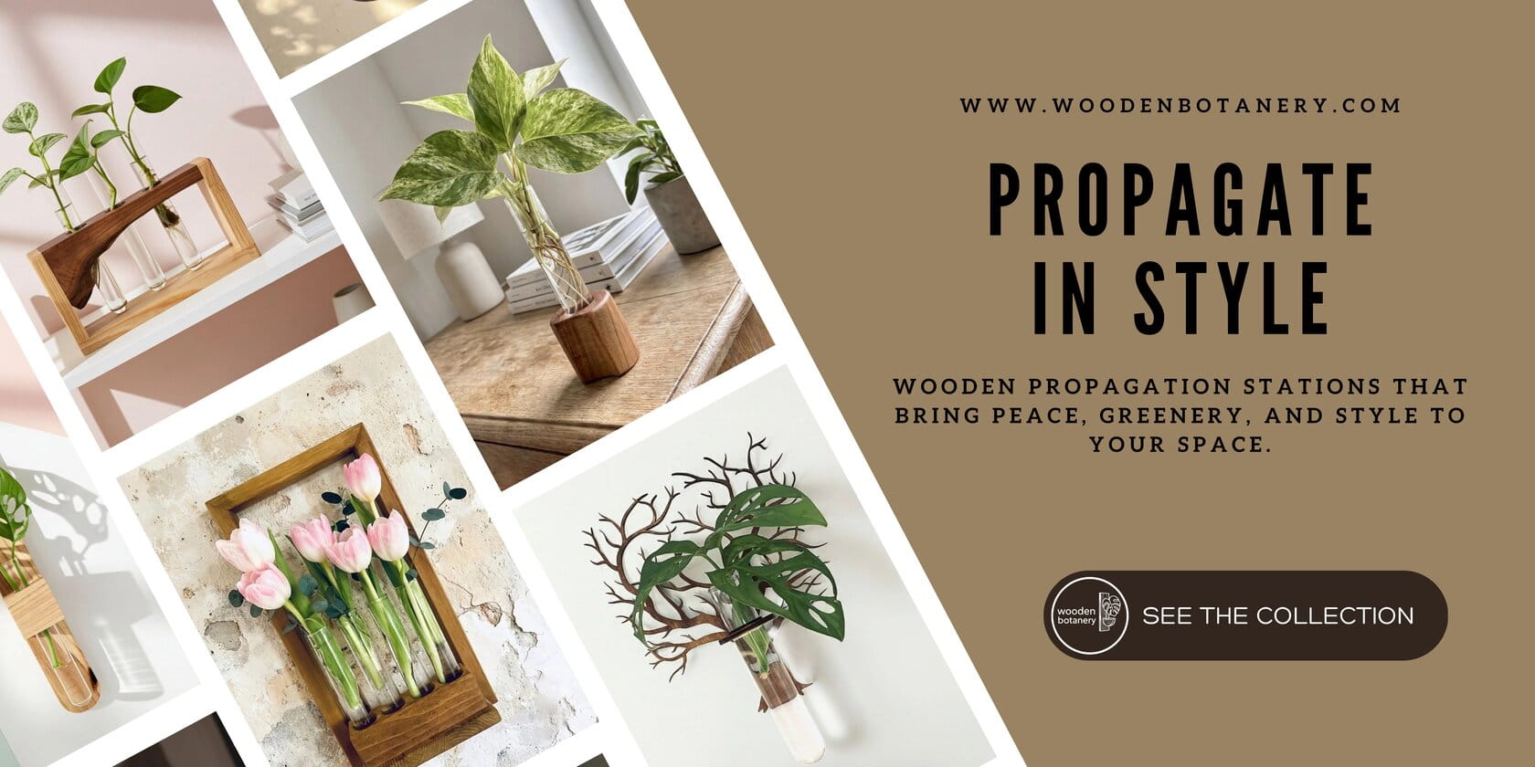 Wooden propagation station with a plant in water – WoodenBotanery