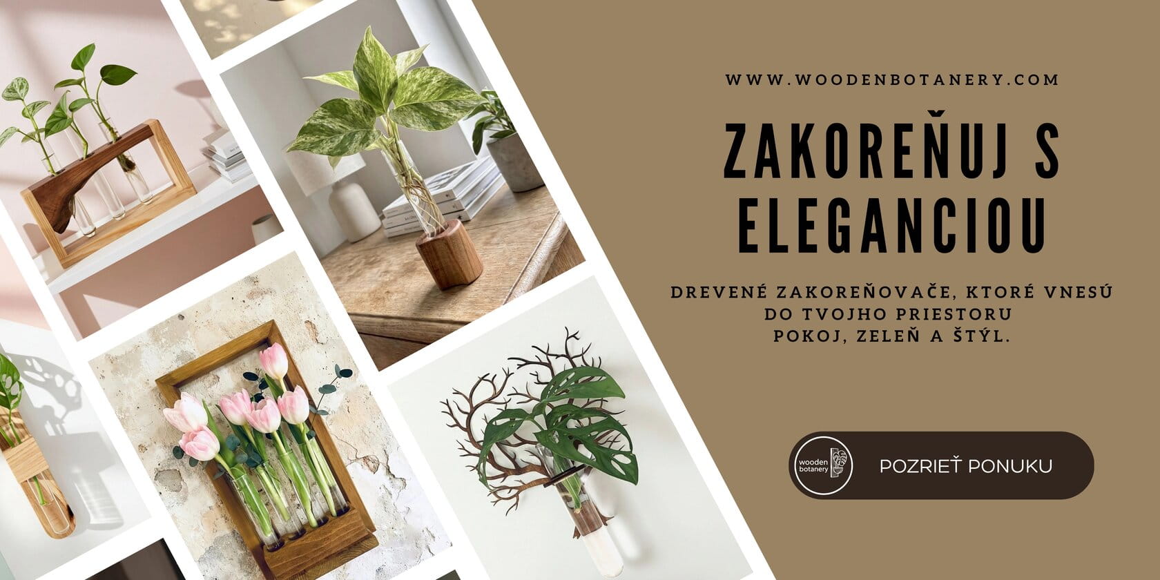 Drevený zakoreňovač s rastlinkou vo vode – WoodenBotanery