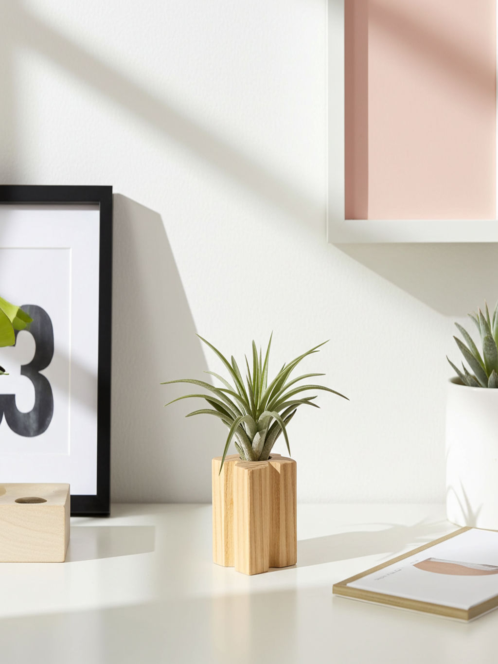 Tilandsia-stojan-JAS..._imresizer