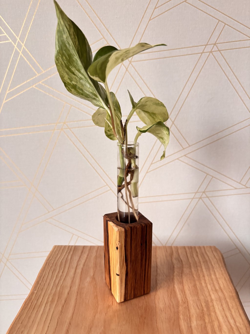 Zakoreňovač DUB – Moderný a minimalistický zakoreňovač na rastliny | Wooden Botanery Motív: N