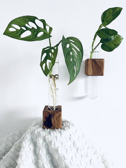 c R17715796 874297 20250817 17437