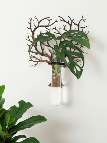 Zakoreňovač so skúma... imresizer