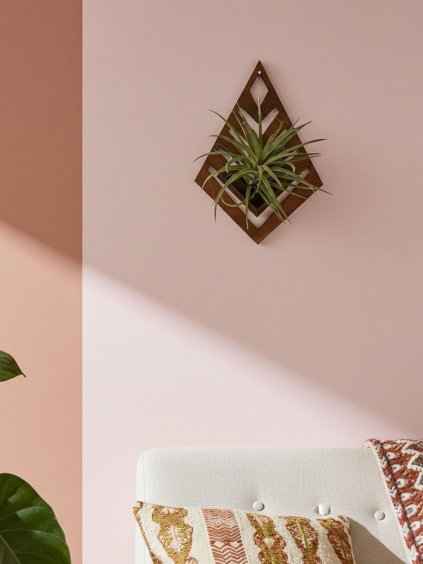 Tilandsia držiak na ... imresizer