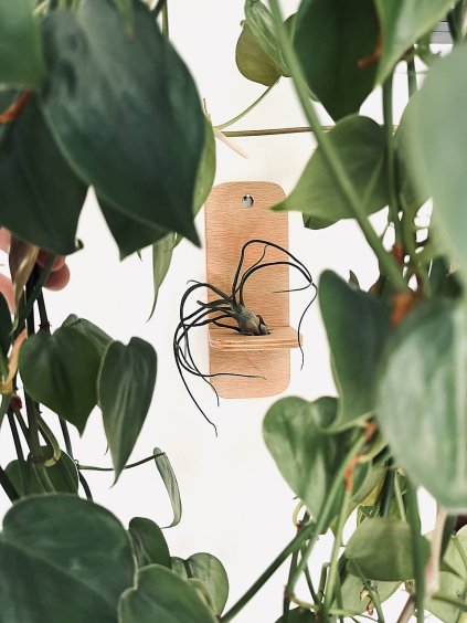 c R17588665 874297 20250615 62277