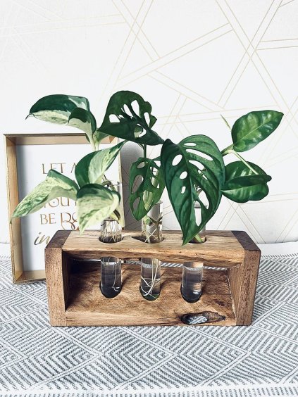 c R17723156 874297 20250821 19785