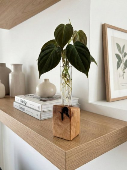 BotaneryLab™ ELEMENT: Beechwood Propagation Stand (Single)