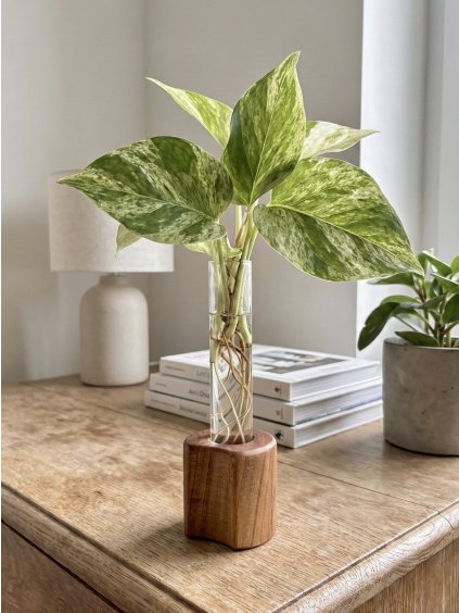 Gemini Generated Image uanfaguanfaguanf Original