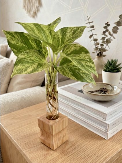 Gemini Generated Image 10mku10mku10mku1 Original