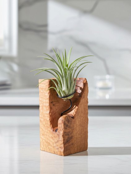 edited 3 (25) imresizer